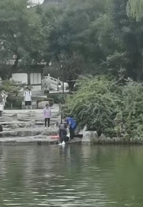 股合网 大明湖景区一名男子意外落水，众人合力救援