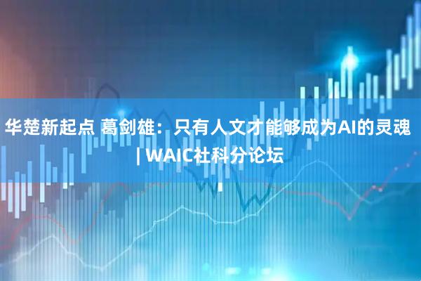 华楚新起点 葛剑雄：只有人文才能够成为AI的灵魂 | WAIC社科分论坛